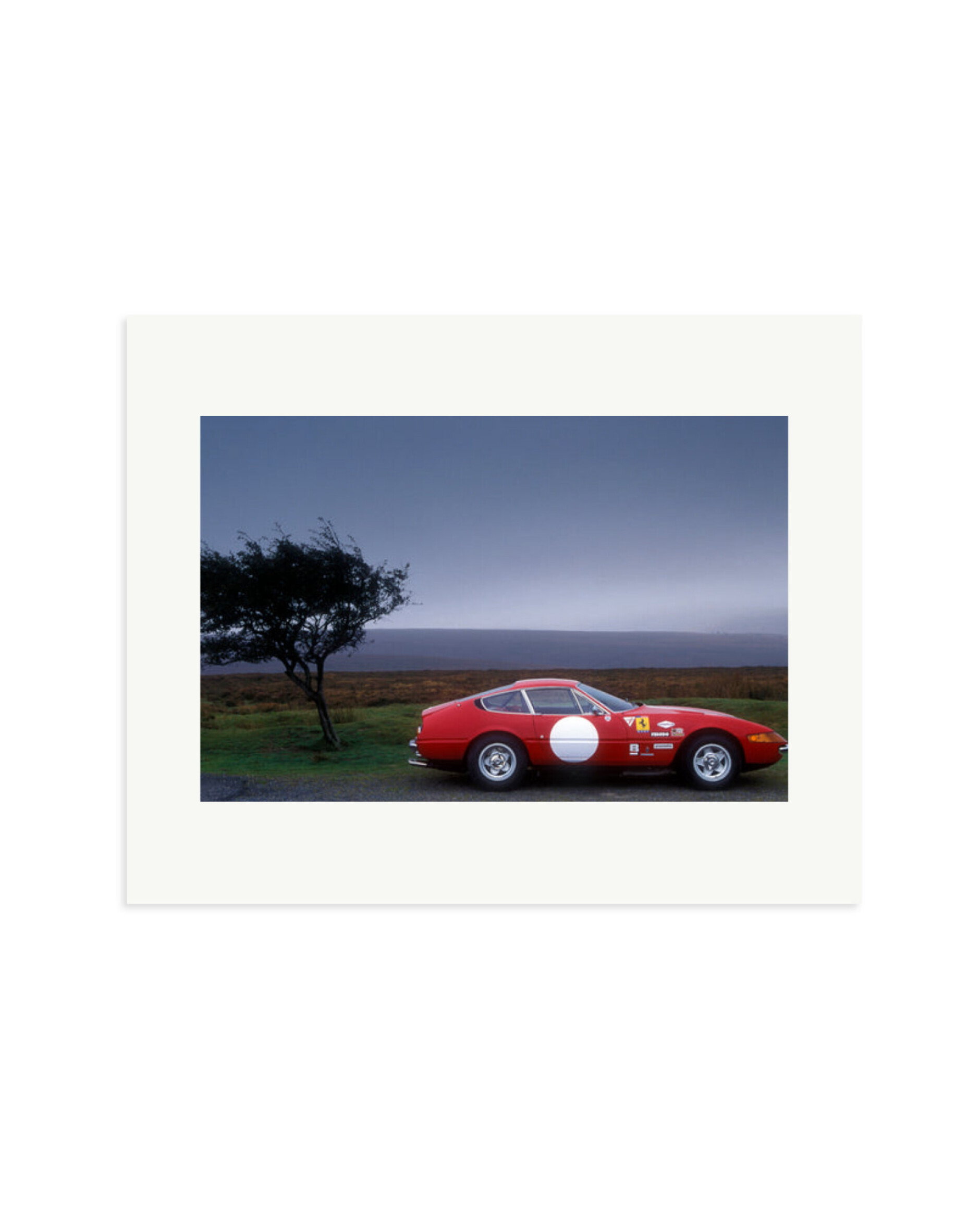Ferrari Daytona Comp Print Only / Medium