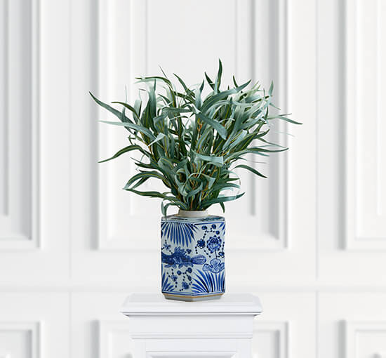 Eucalyptus afskåret blomst grøn