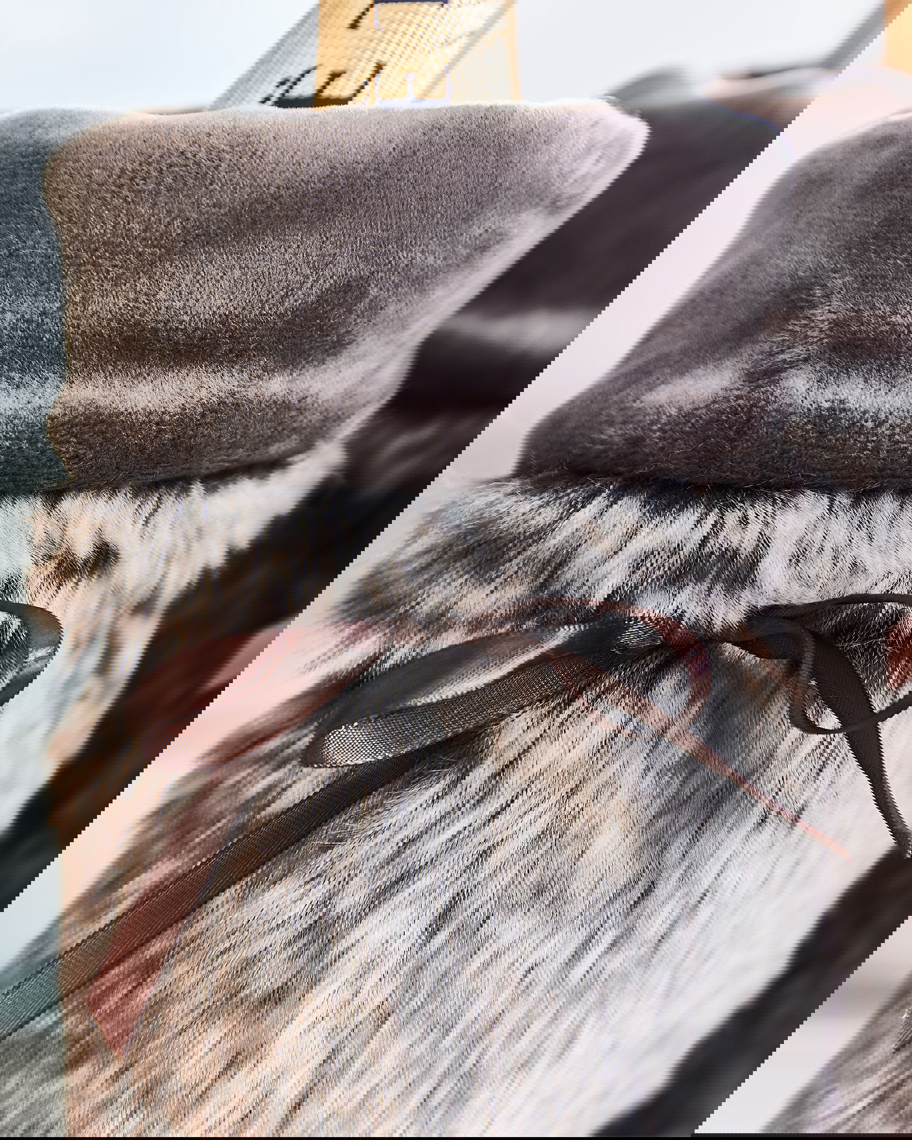 Whistler Wine Holder Brown Bear