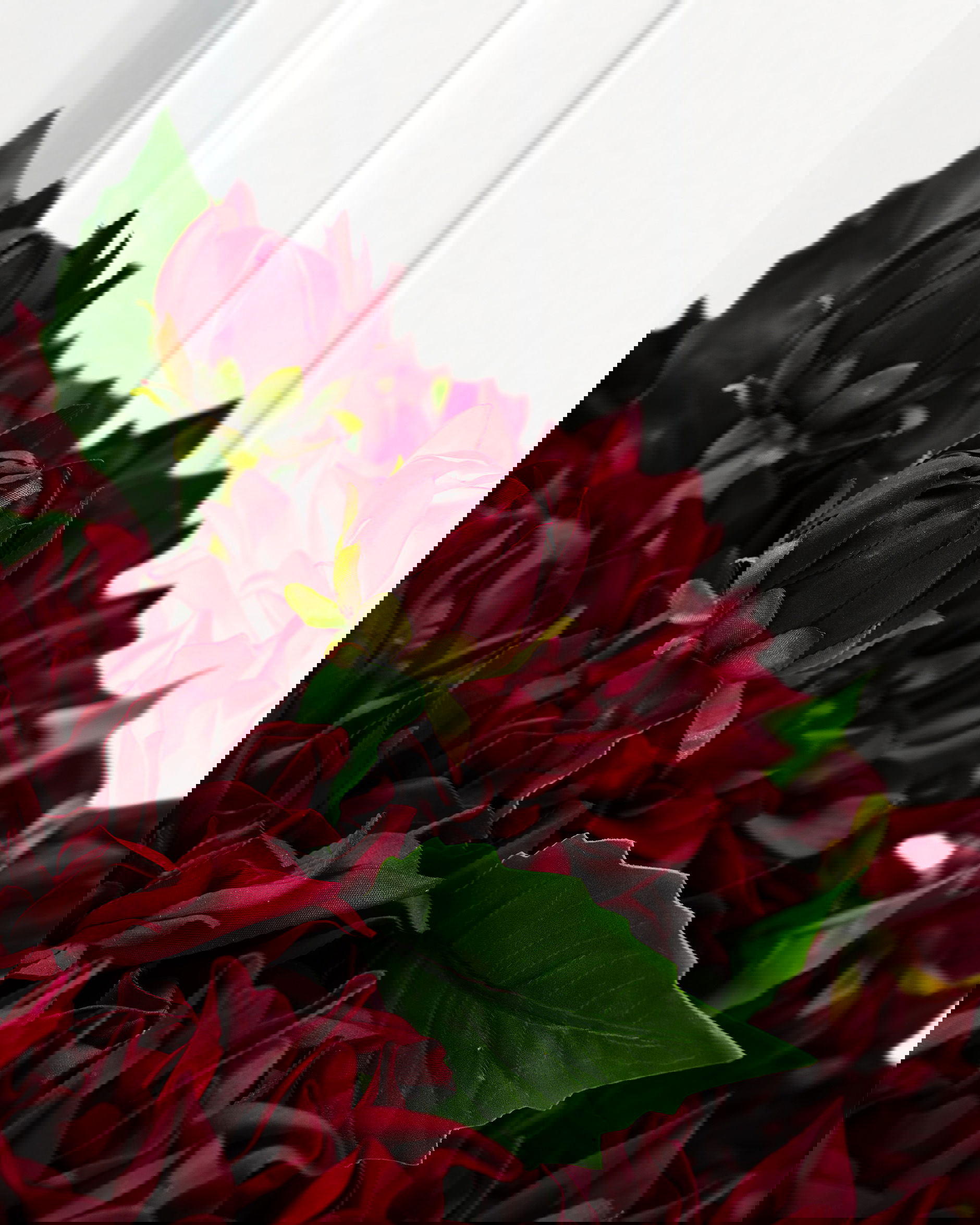 Dahlia snijbloem bordeaux