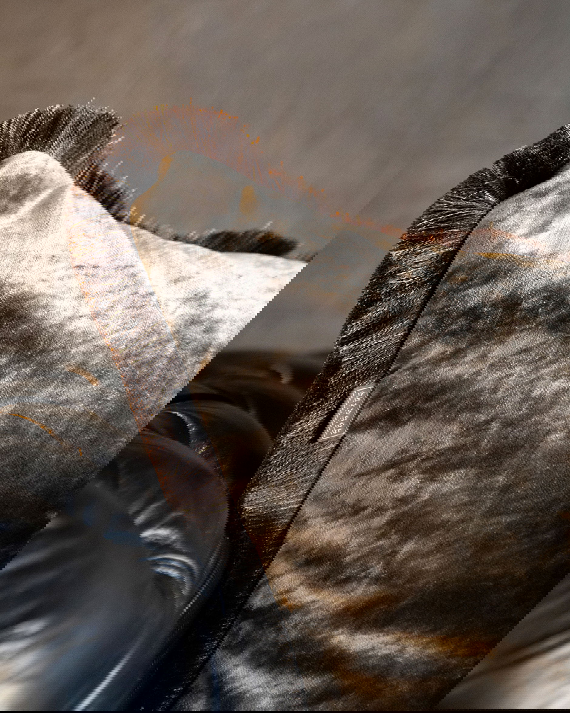 Garda Velvet kuddfodral fransar beige