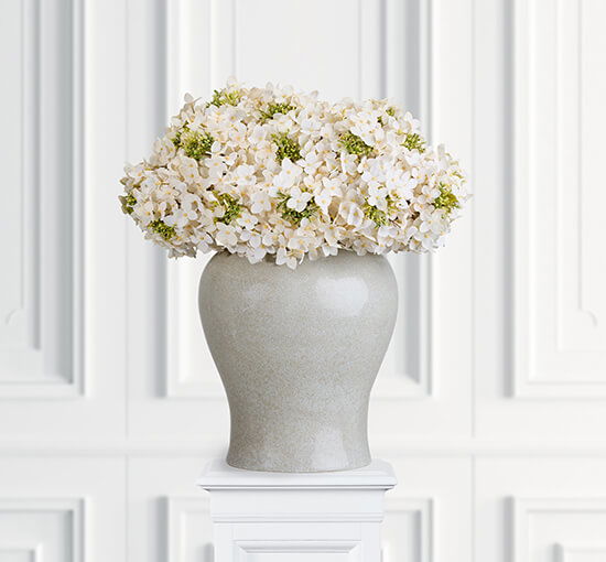 null - Hortensie Schnittblume Cream