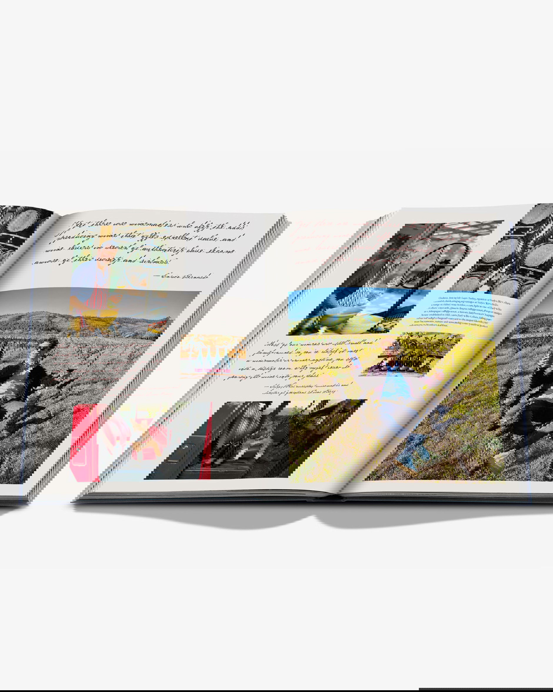 Wine & Travel United States of America