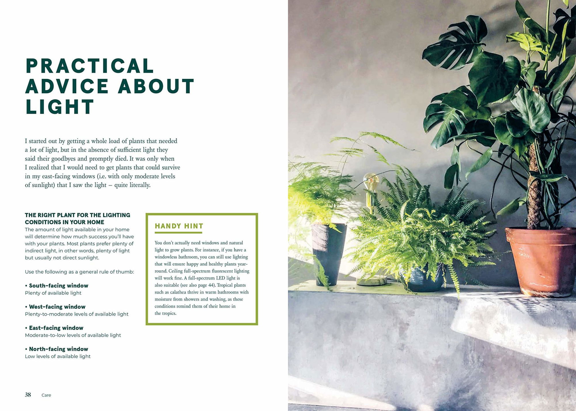 Green Home - The Joy of Living with Plants