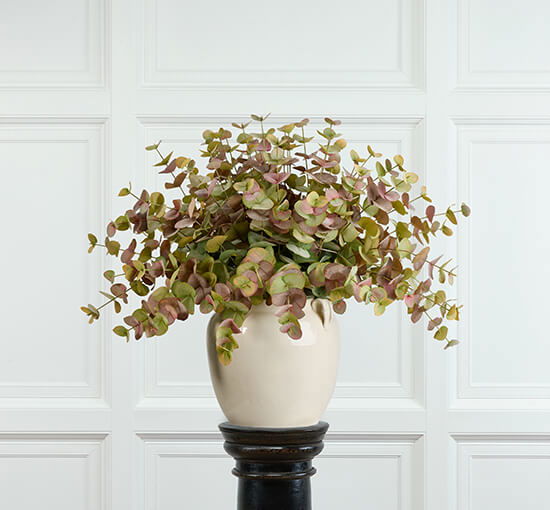 null - Eucalyptus Cut Flower Green