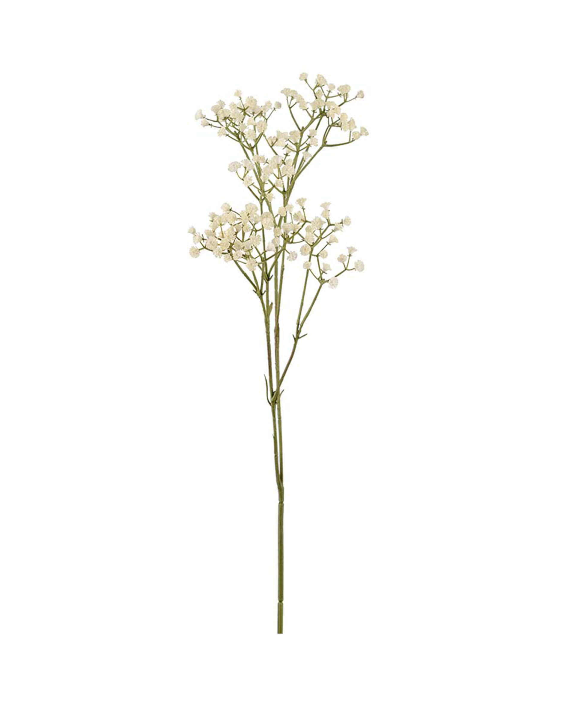 Brudslöja snittblomma vit