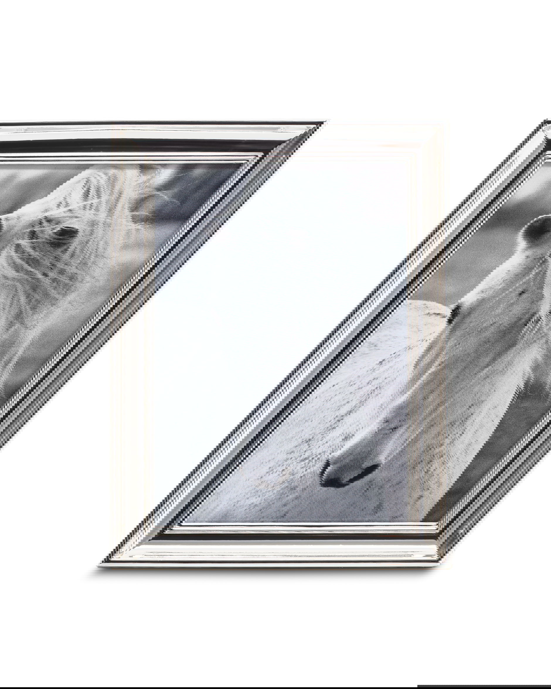 Cary-valokuvakehys, hopea