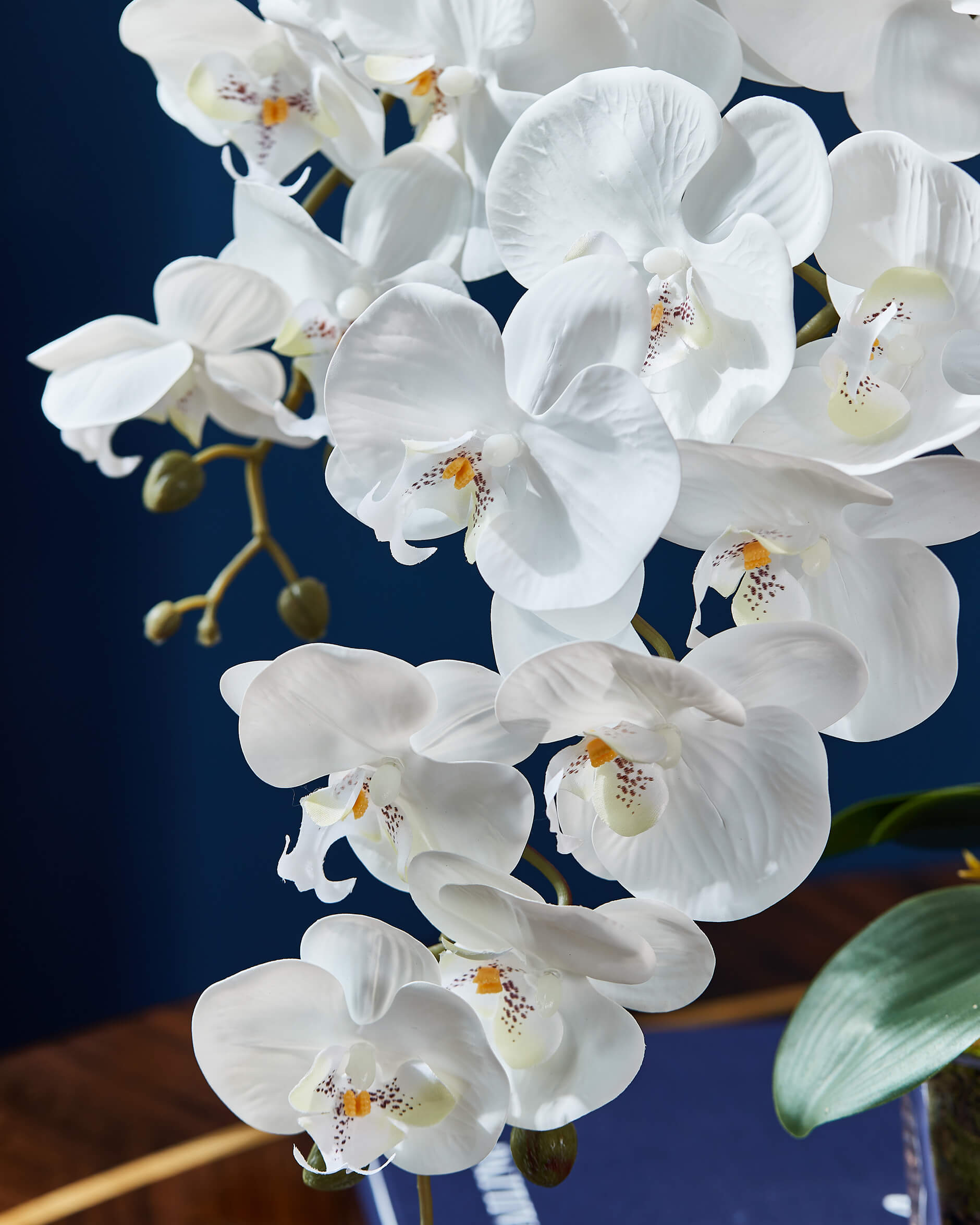 Orchidée Classique gåvoset