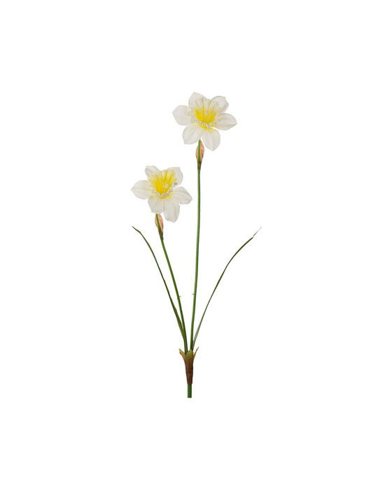 Narciss snittblomma ljusgul | Julshop - Blommor | Möbelexperten