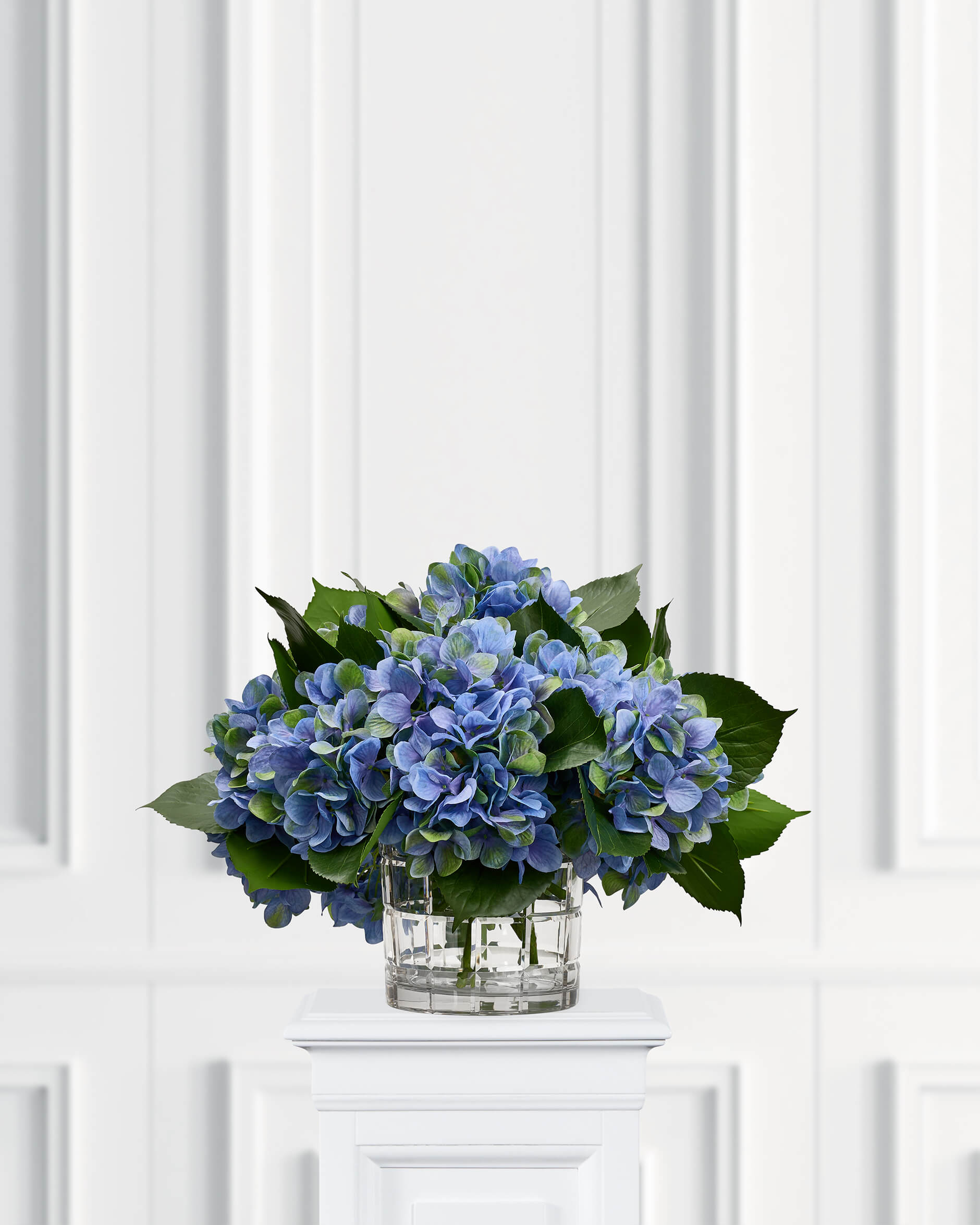 Hortensie Schnittblume blau