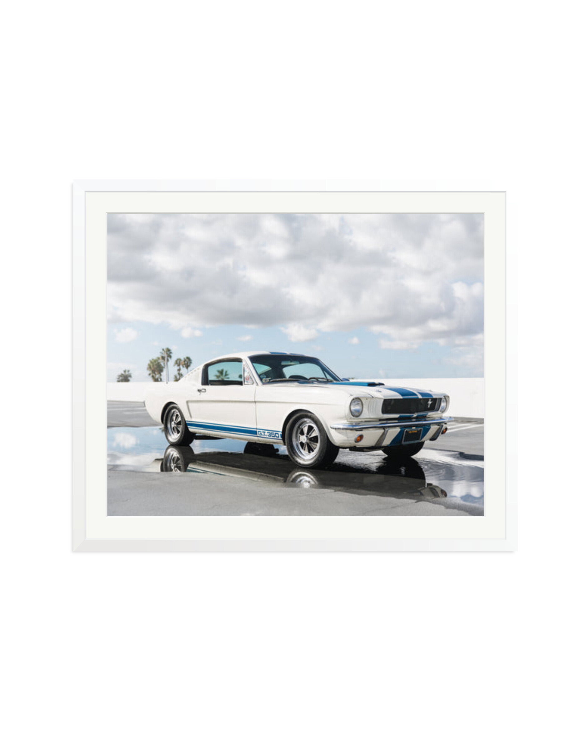 Ford Mustang Shelby GT350 White / XXL