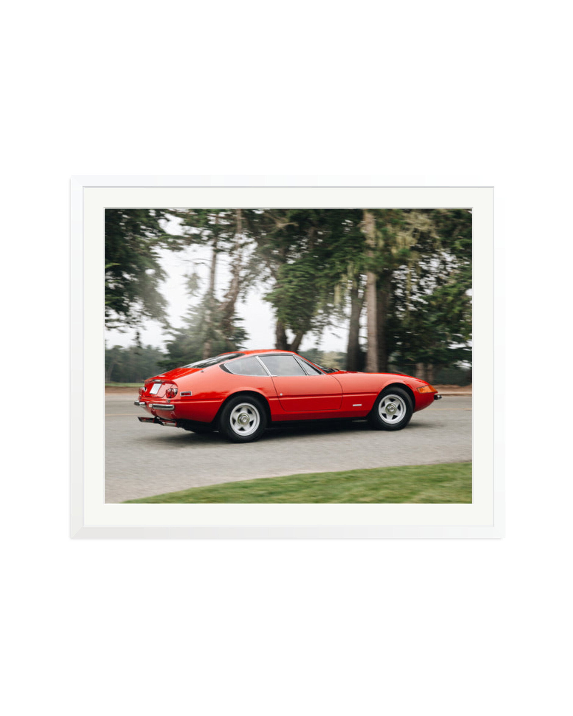 Ferrari Daytona White / XXL