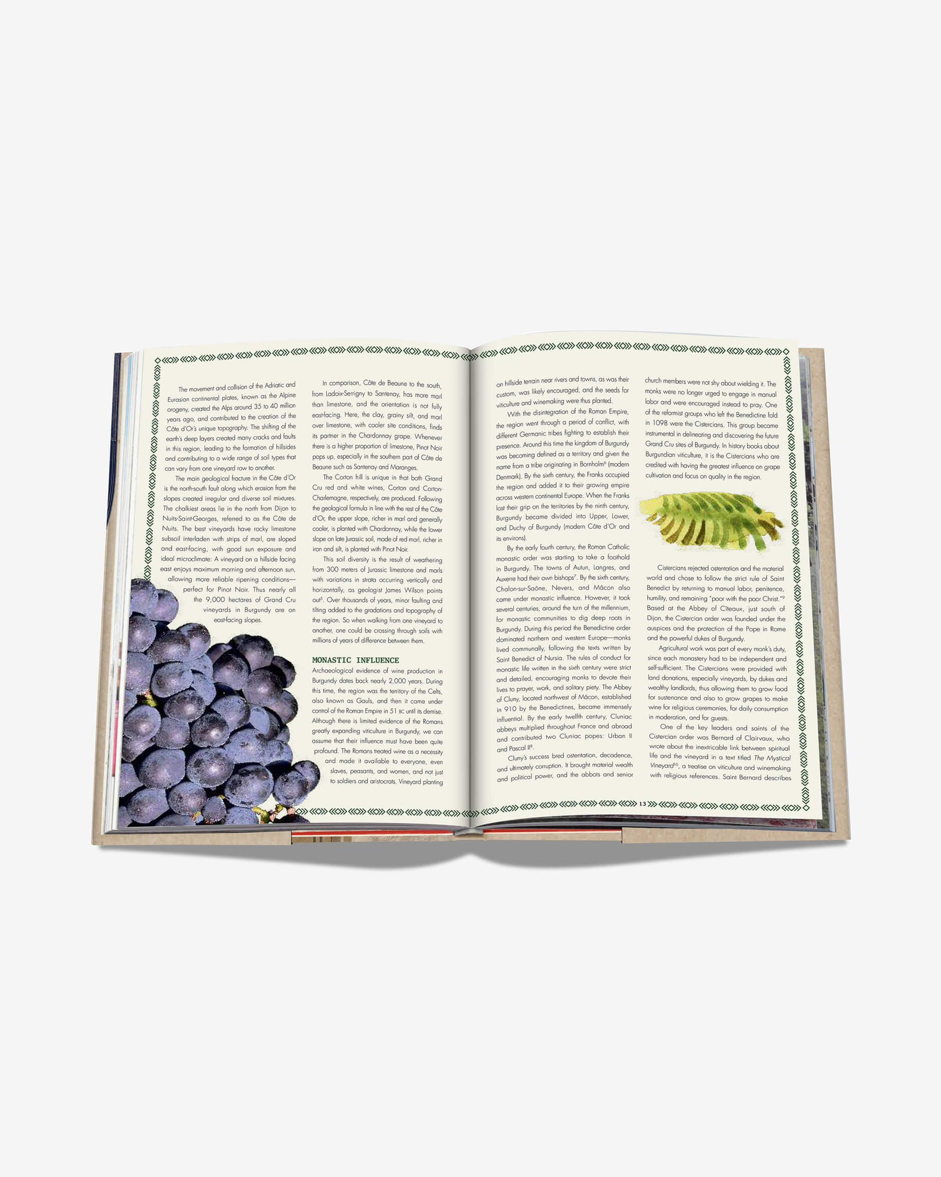 The 100 Burgundy: Exceptional Wines to Build a Dream Cellar