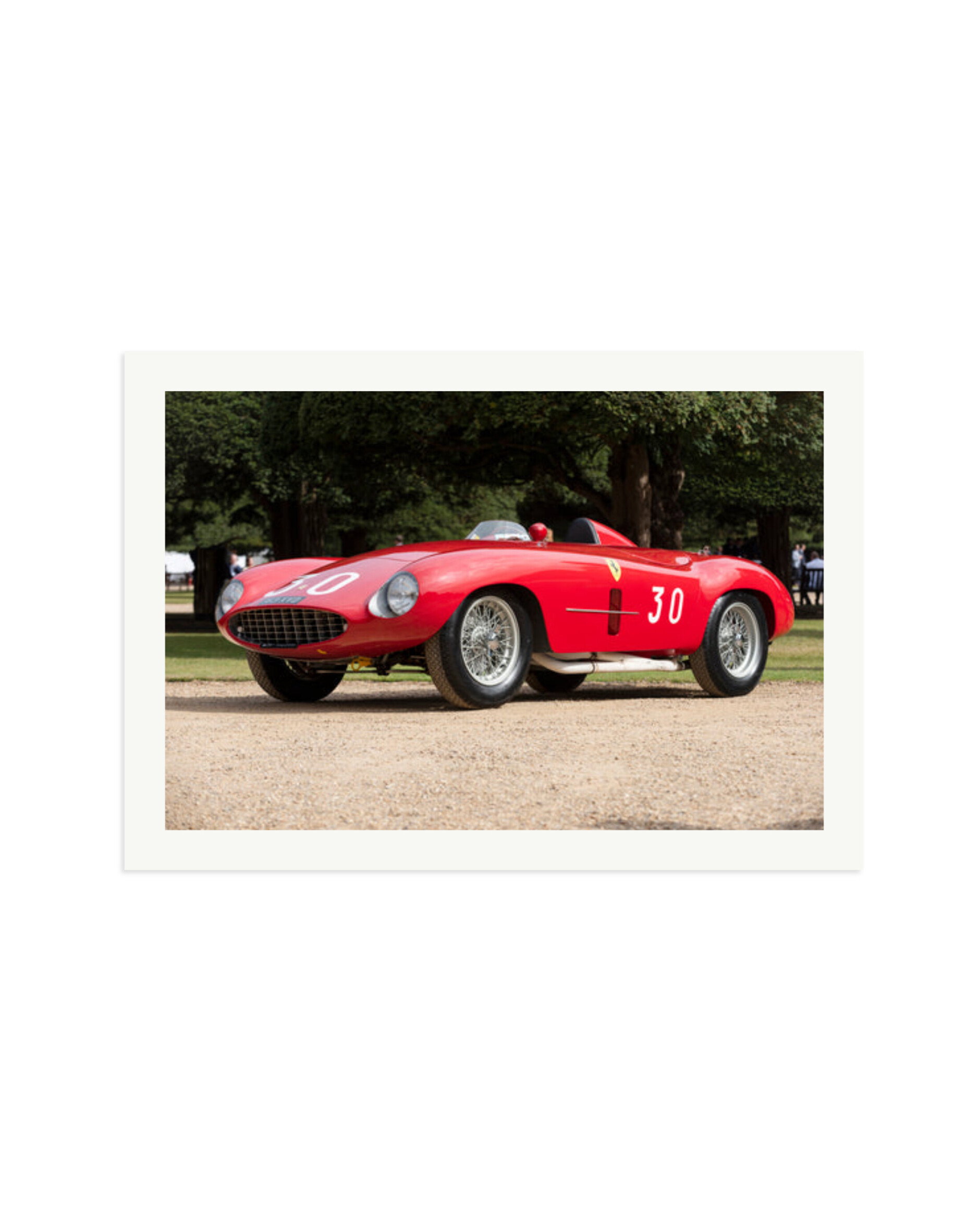 1931 Alfa Romeo Print Only / XXL