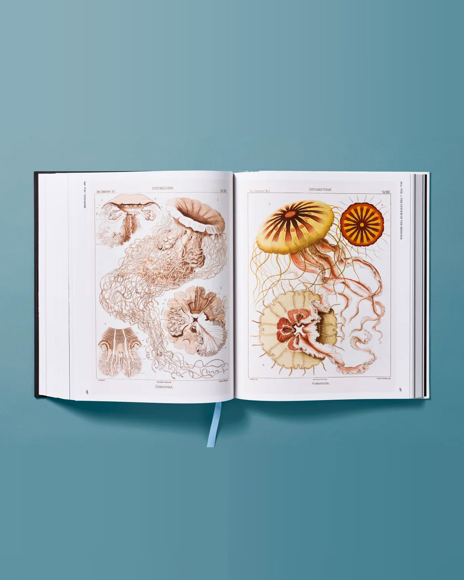 The Art and Science of Ernst Haeckel