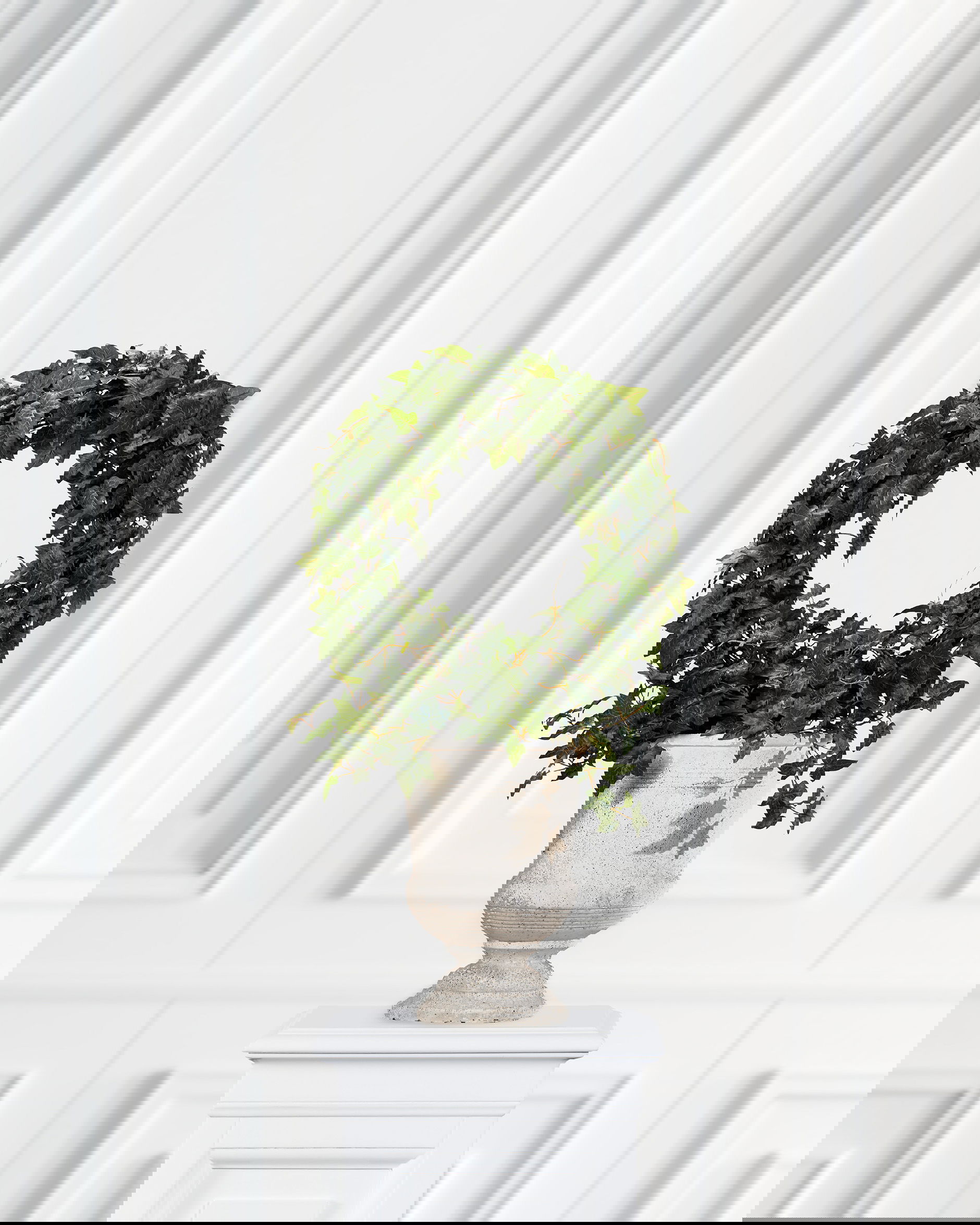 Murgröna krukväxt grön