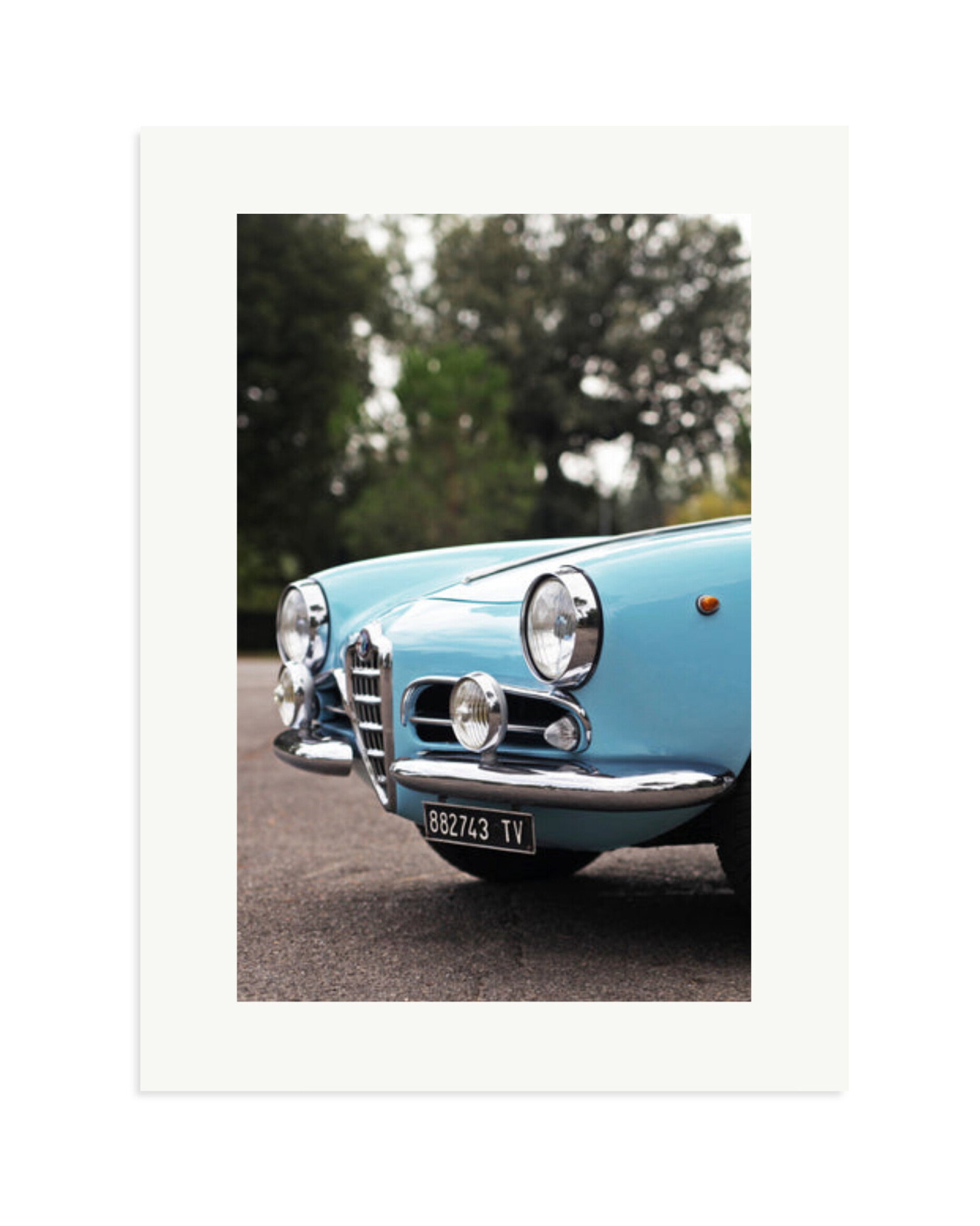 Alfa Romeo Giulietta Spider Print Only / XL
