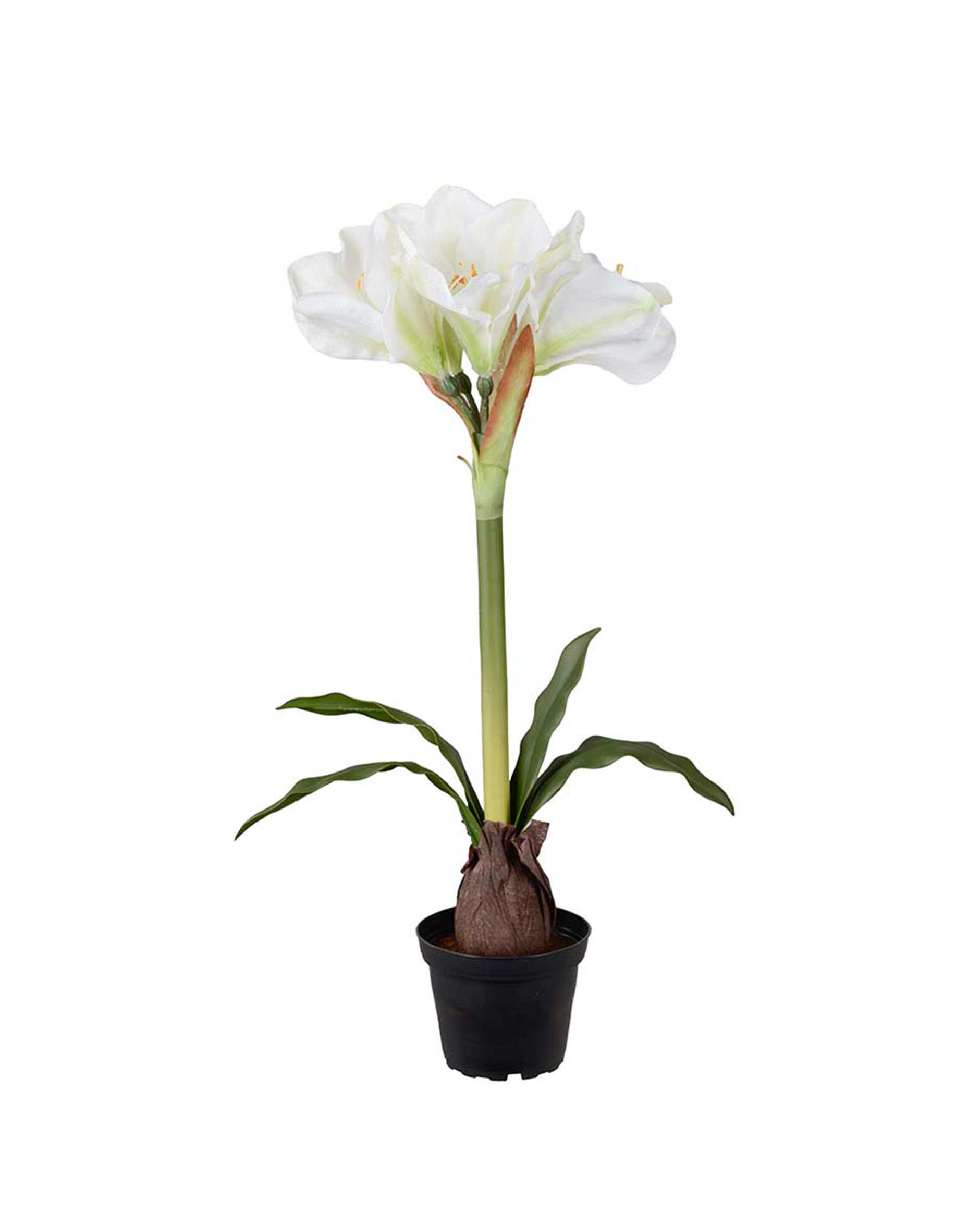 Amaryllis artificial plant white