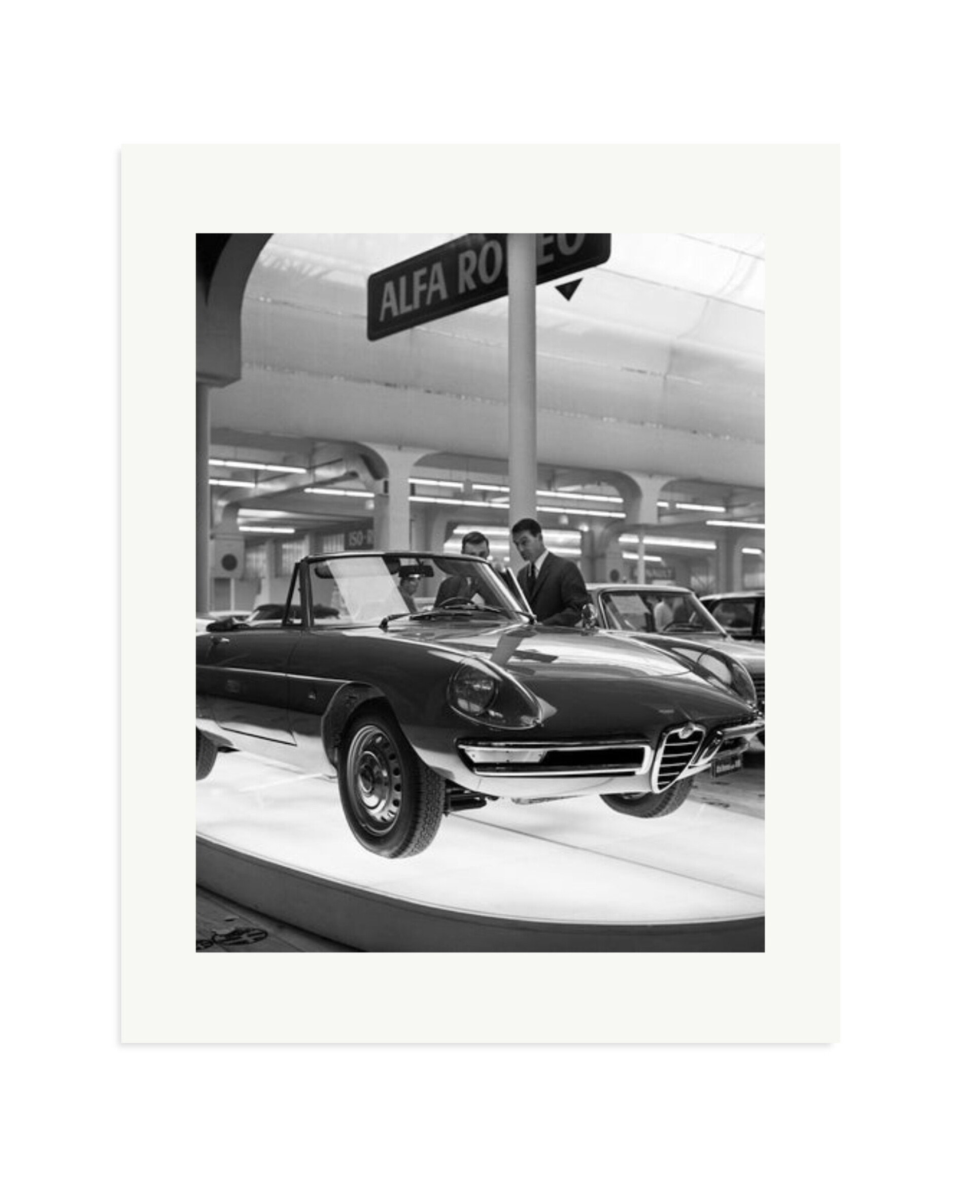 Alfa Romeo Spider 1600 Print Only / XL