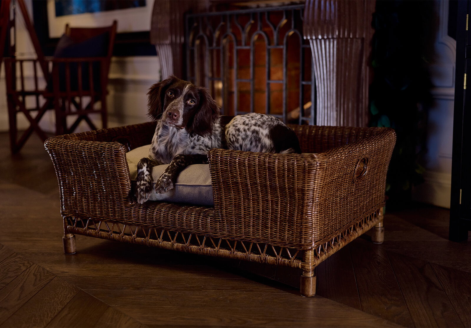 Dog beds