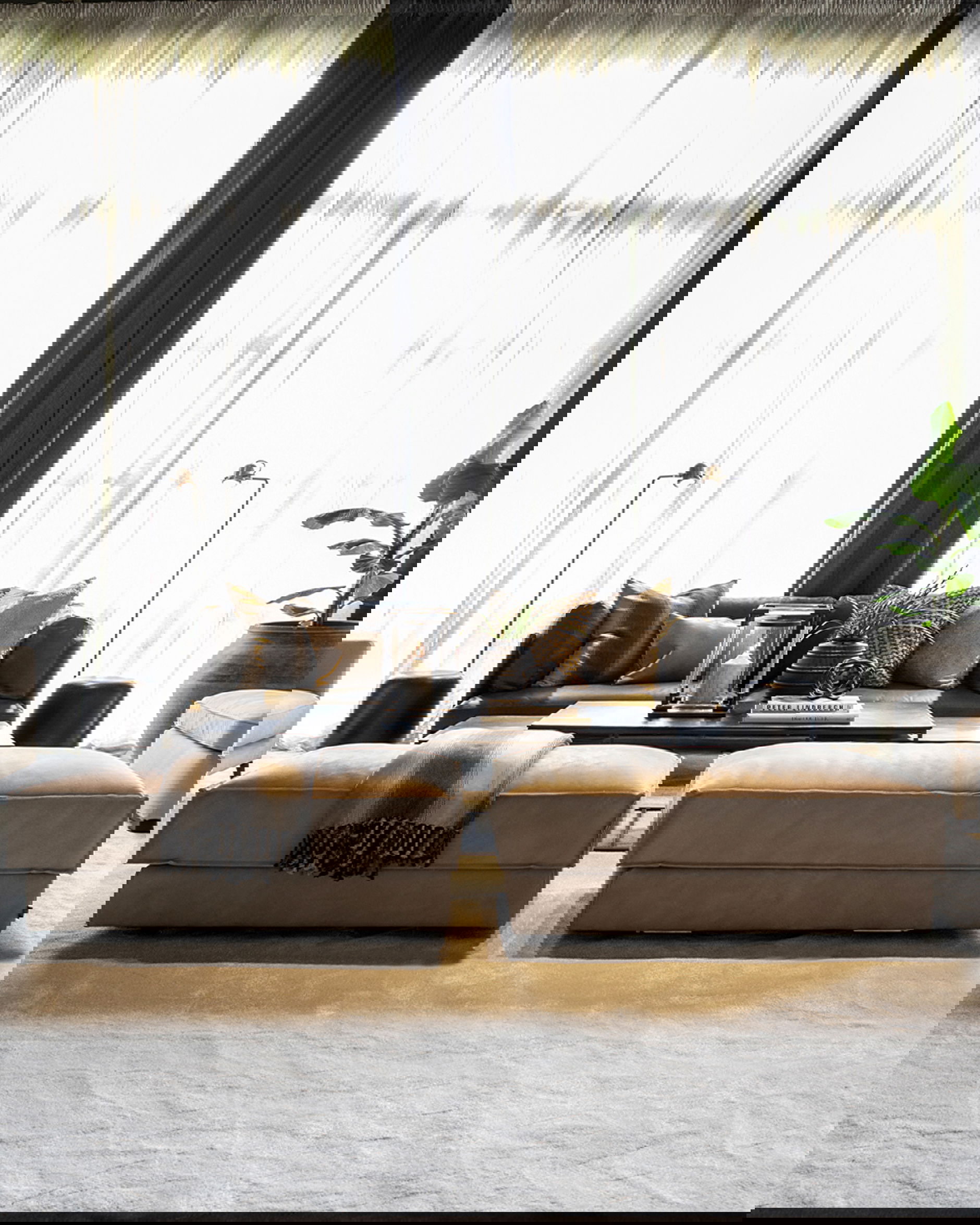 Montana fotpall brun