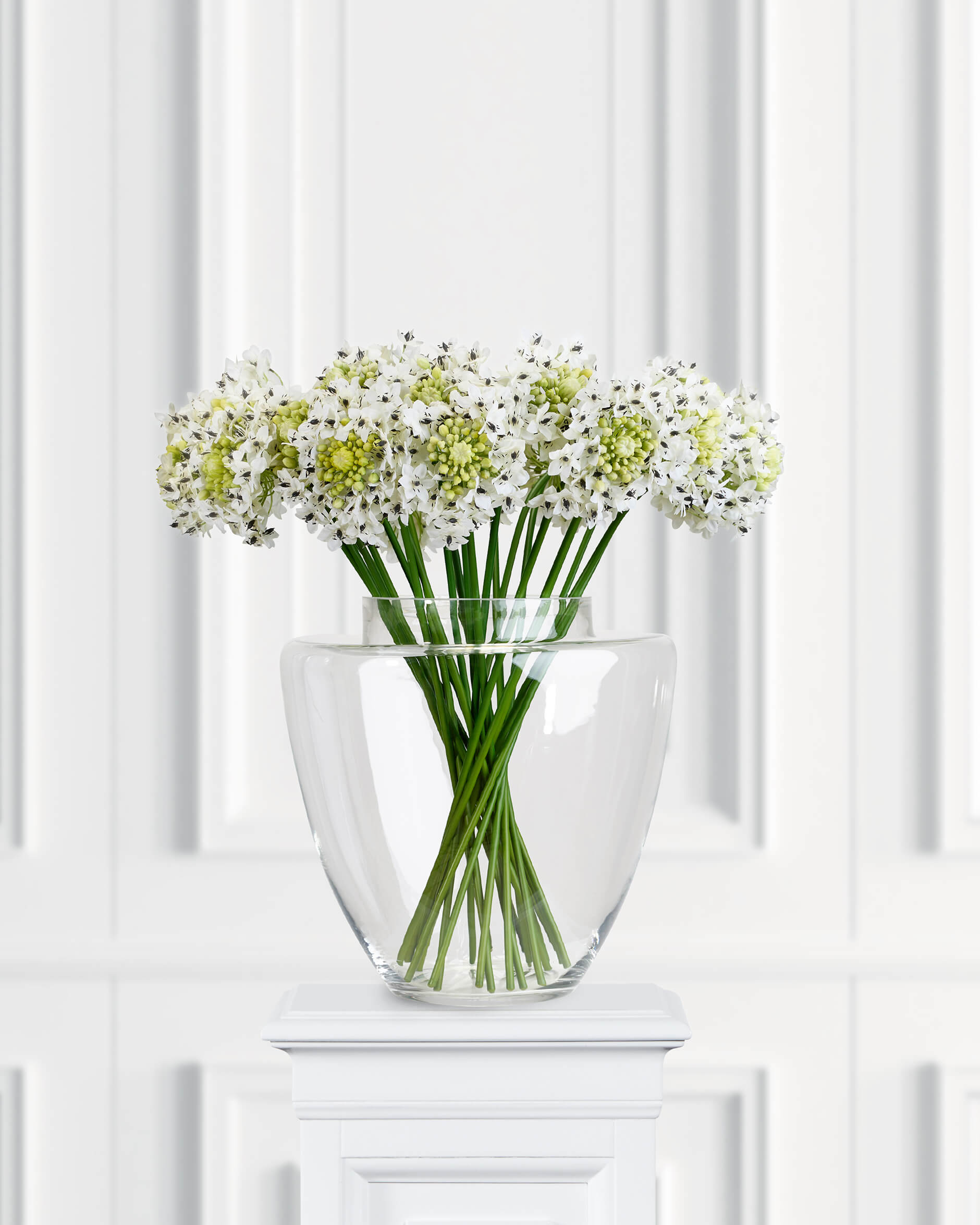 Arabicum snittblomma vit