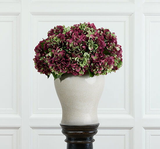 null - Hortensia snijbloem bordeaux