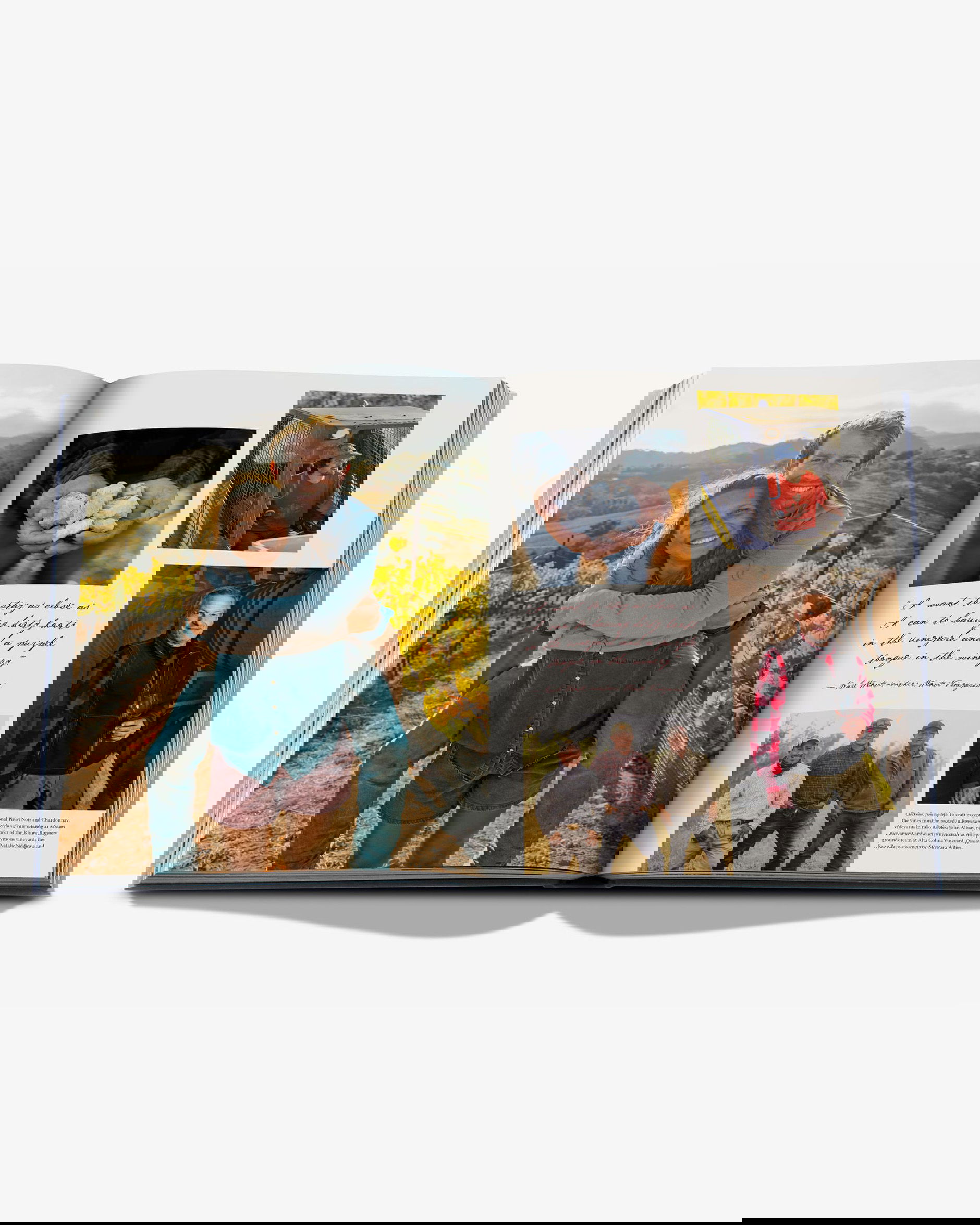 Wine & Travel United States of America