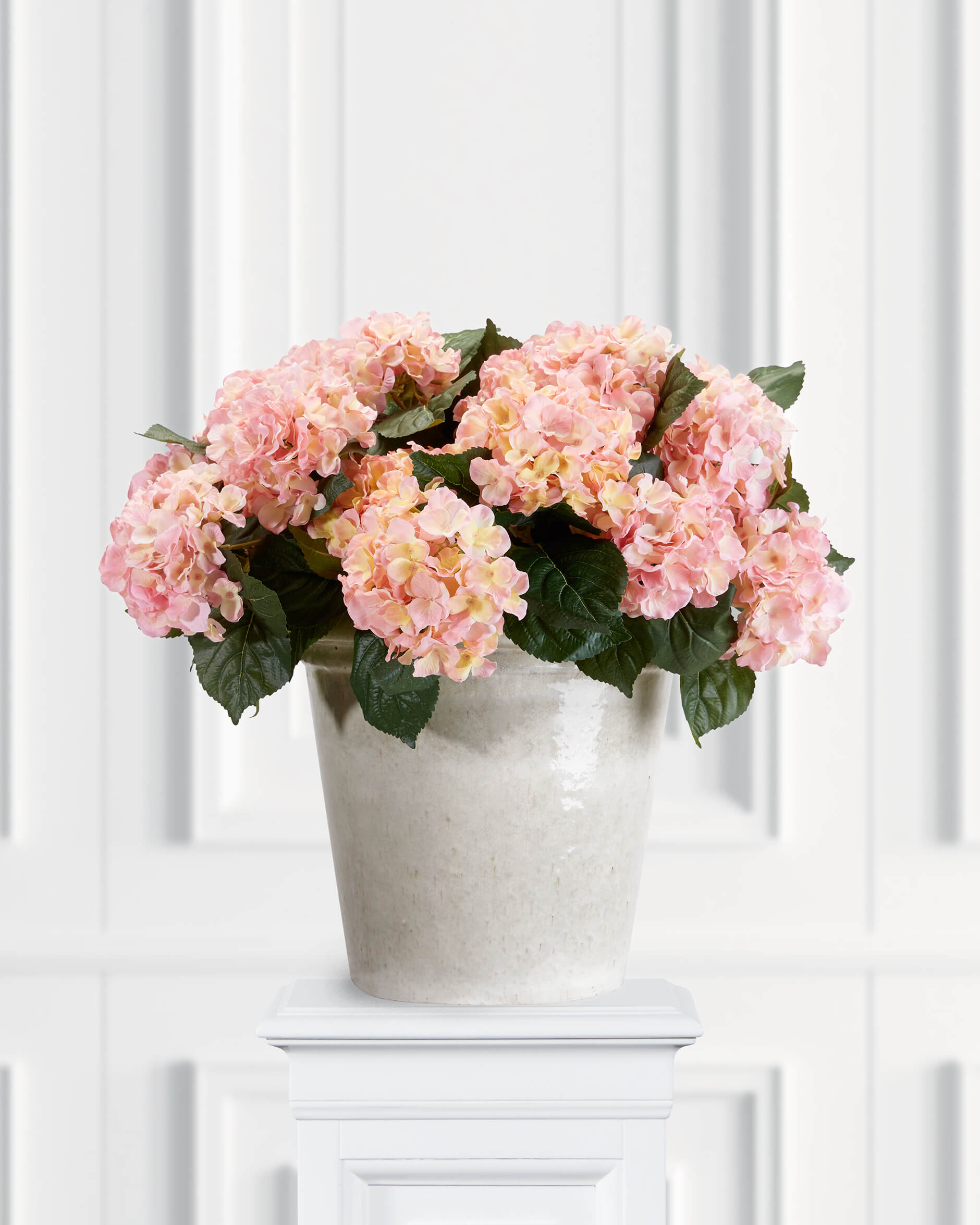 Hydrangea Potted Plant Pink