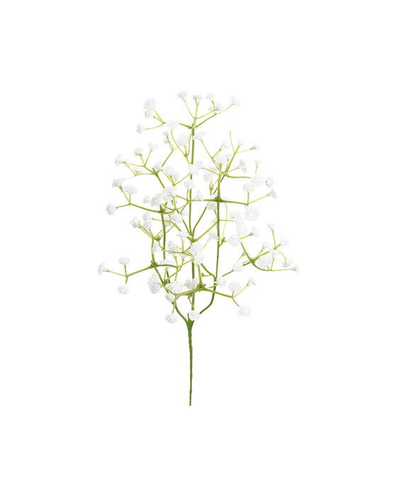 Brudeslør afskåret blomst hvid