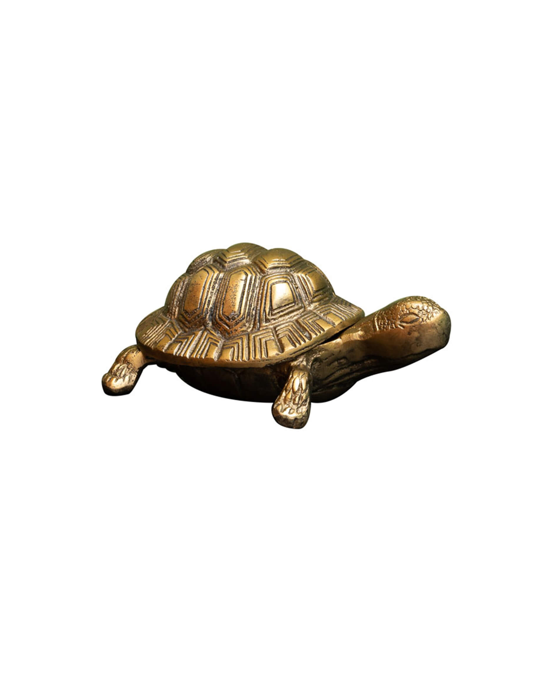 Kilpikonna rasia messinki