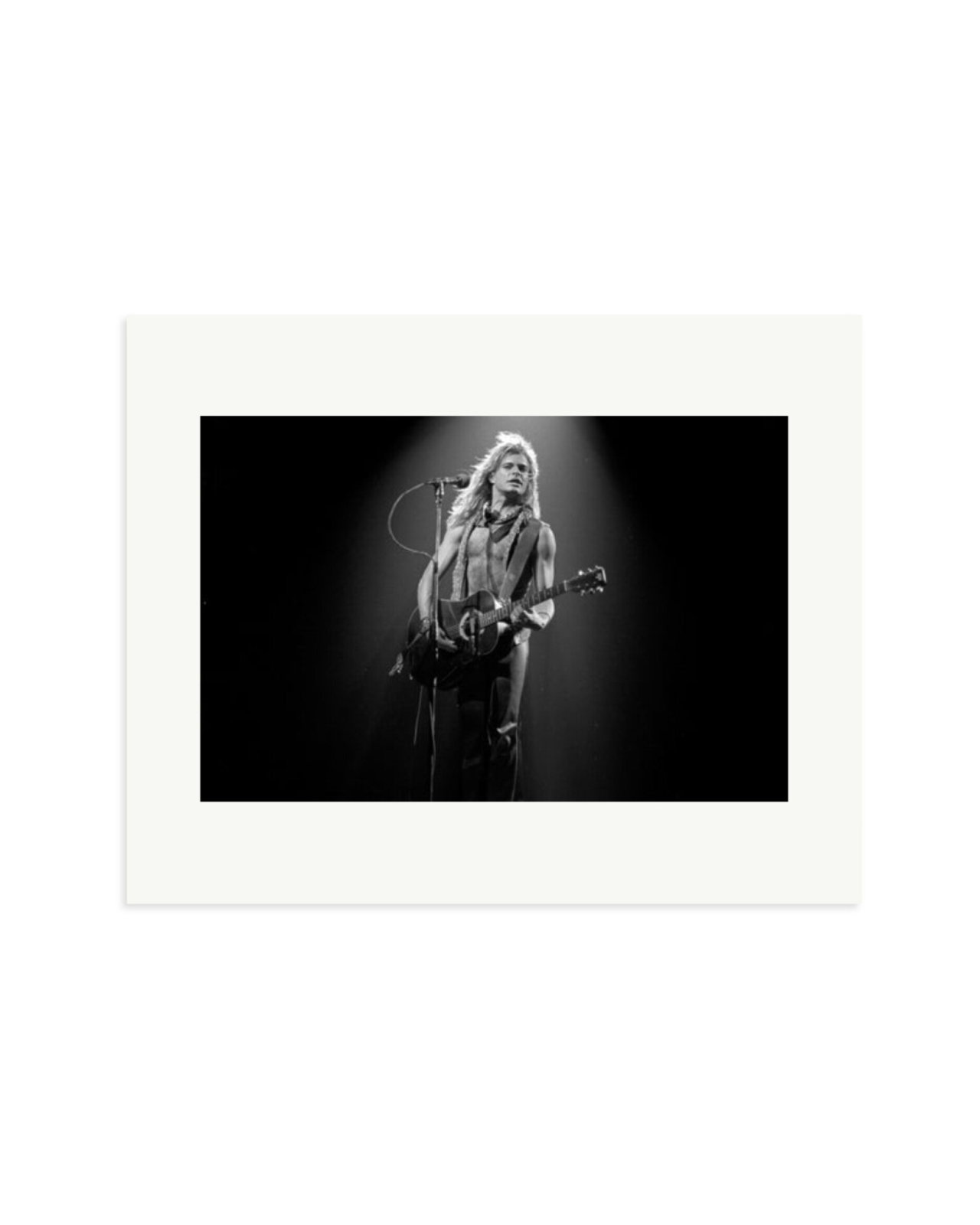 Van Halen Print Only / Medium