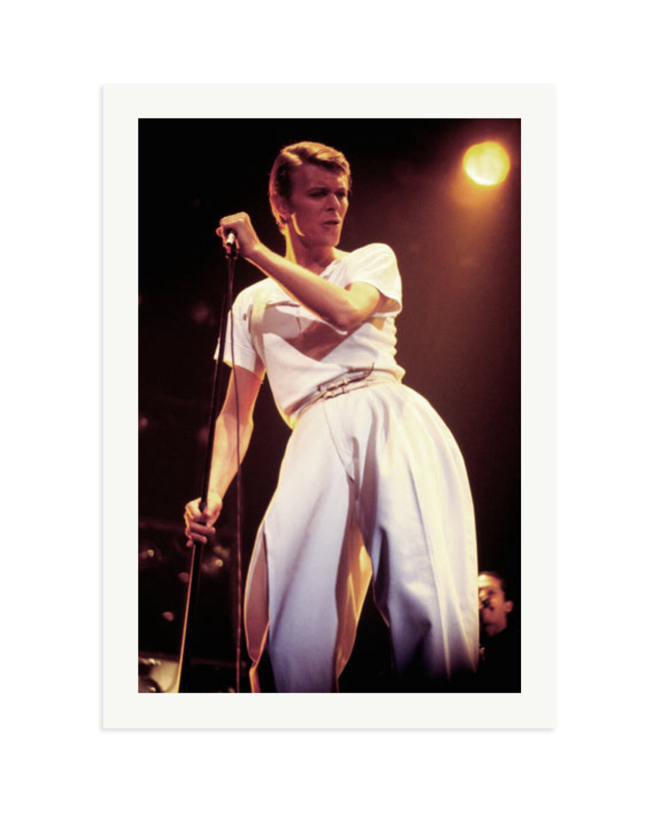 David Bowie 1978 Print Only / XXL