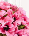 Anemone Cut Flower Pink