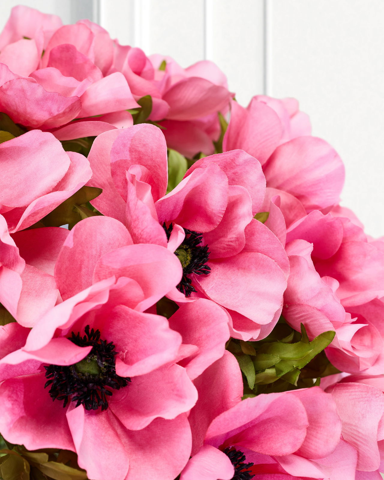 Anemone Cut Flower Pink