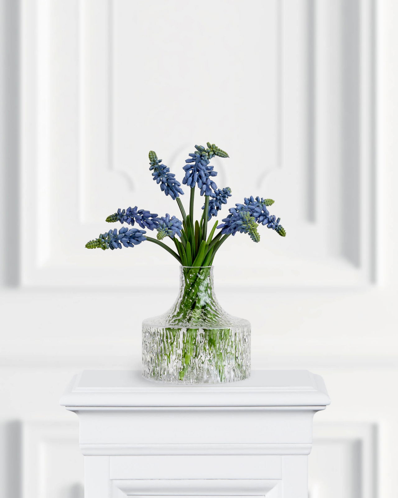 Grape Hyacinth Cut Flower Blue