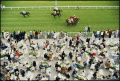 Racing At Baden Baden