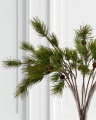 Fyrrekvist med kogler snitblomst grøn