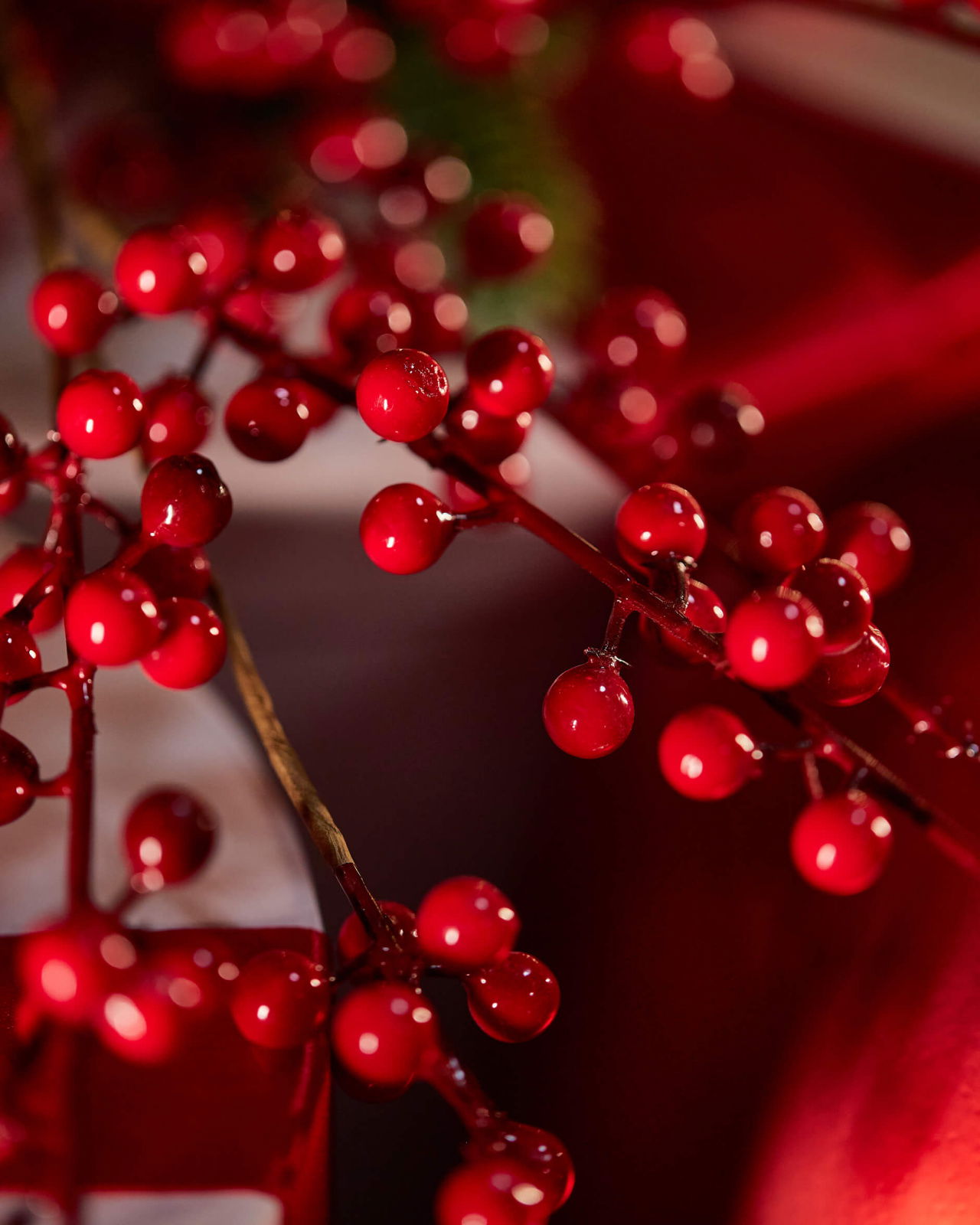 Ashby bärkvist röd