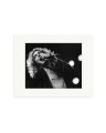 Robert Plant 1977 Print Only / Small