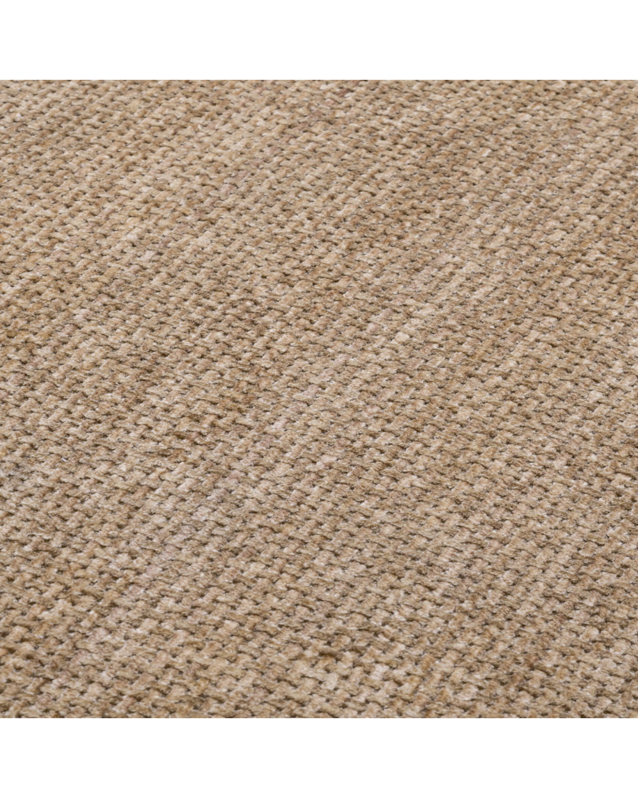 Björn soffa lyssa sand