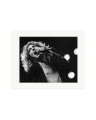 Robert Plant 1977 Print Only / XL