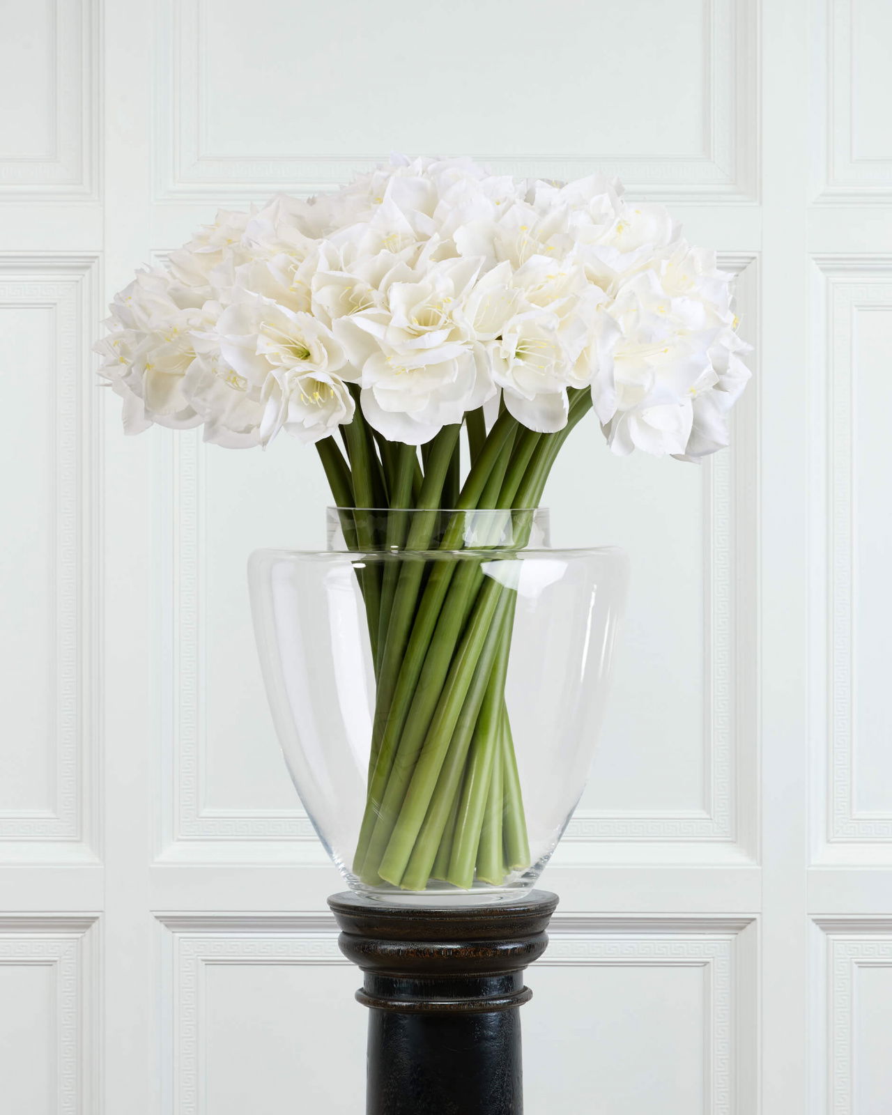 Amaryllis Cut Flower White