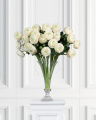 Ranunculus Cut Flower White