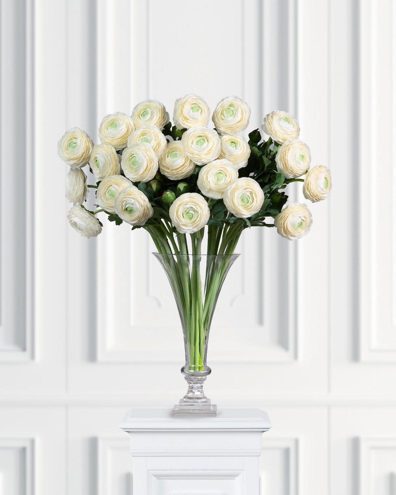 Ranunculus Cut Flower White