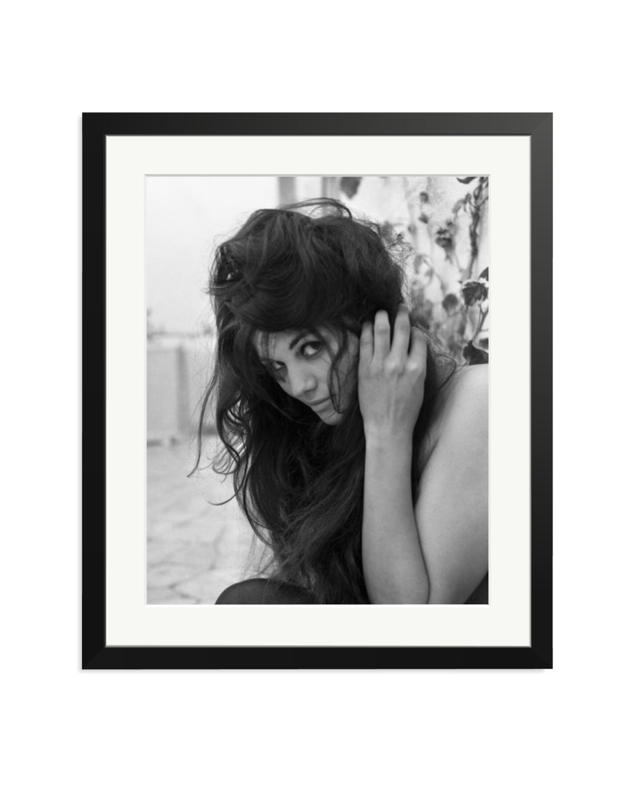 Cardinale Close Up Black / Large