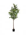 Rubber Fig Artificial Tree Green