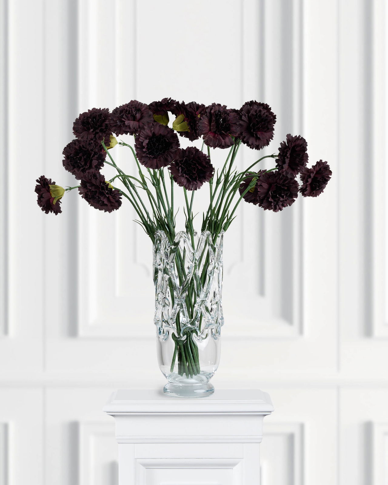 Carnation Cut Flower Wine Red