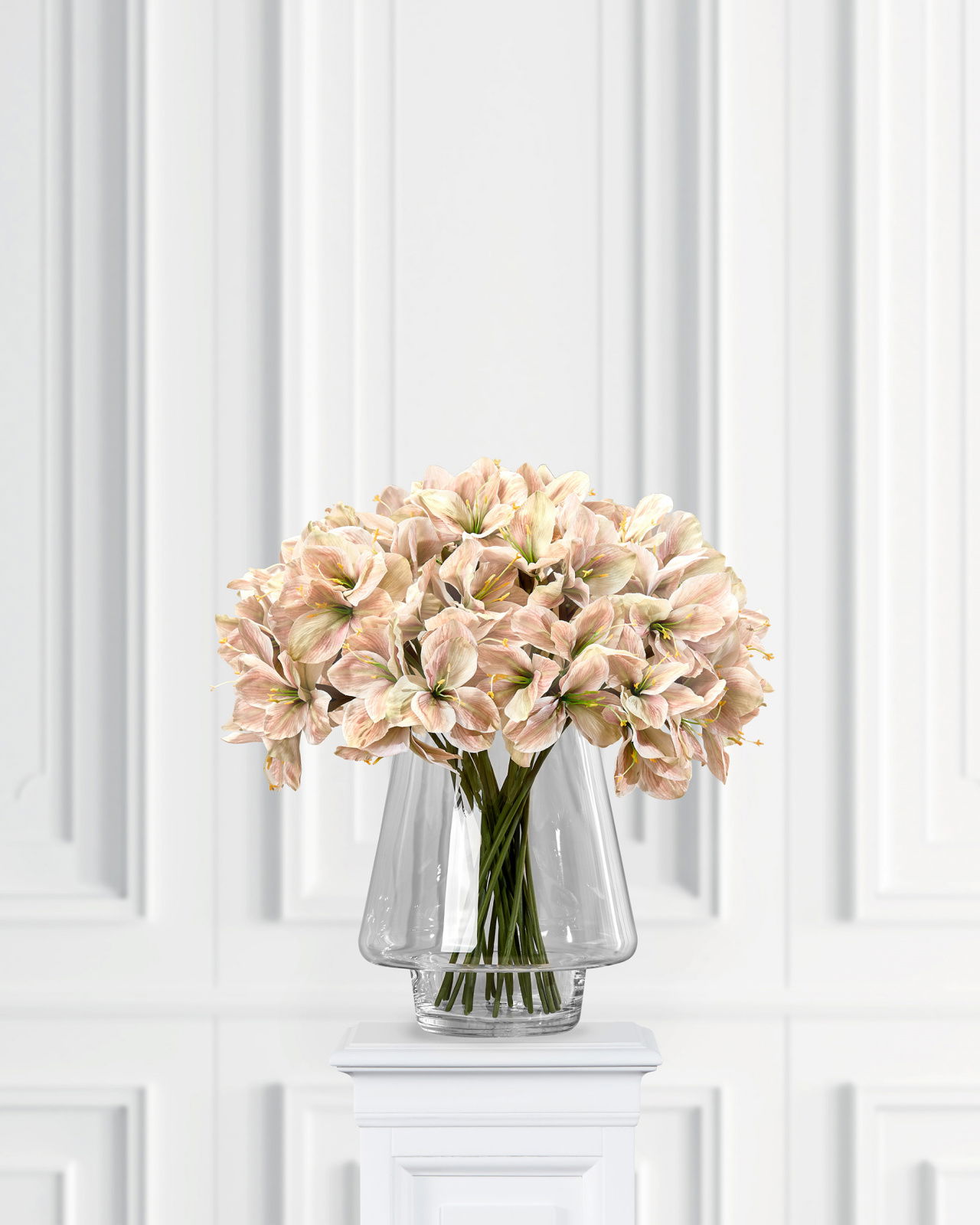 Amaryllis cut flower yellow