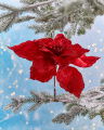 Simone Flower Christmas Decoration Red